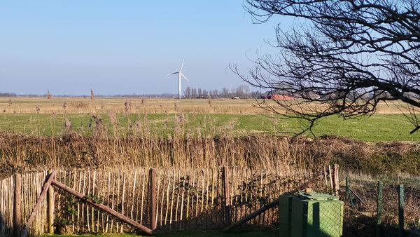 Foto 6 Ferienhaus Ostfriesland Krummhörn & Umgebung Ferienhaus Dinas Huus (Objekt 99641) buchen