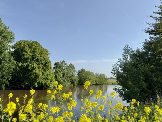 Foto 12 Ferienhaus Ostfriesland Carolinensiel Haus Küstentraum Lüttje Glück (Objekt 84654) suchen