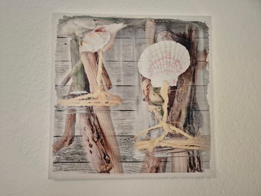 Foto 16 Ferienhaus Ostfriesland Norddeich & Umgebung See-Hund (Objekt 25063) buchen