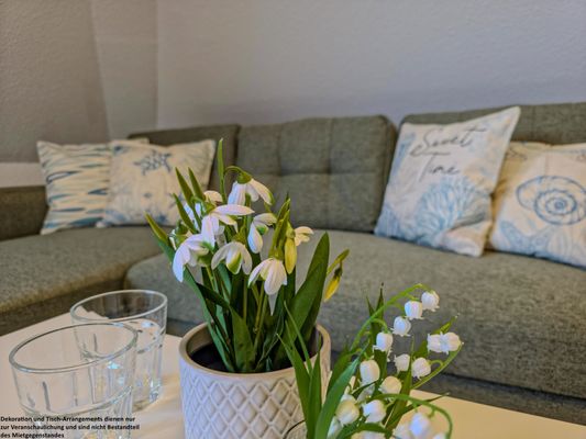 Foto 11 Ferienwohnung Ostfriesland Friesland FeWo Krabbe - Horumersiel (Objekt 99855) buchen