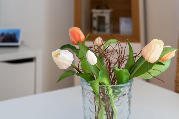 Foto 4 Ferienhaus Ostfriesland Dornum & Umgebung Deichliebe (Objekt 37503) Urlaub