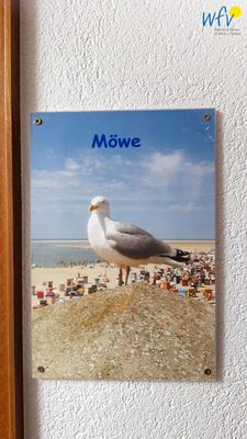 Foto 19 Ferienwohnung Ostfriesland Borkum Fisherman's Ferienwohnung Möwe (Objekt 100279) Urlaub
