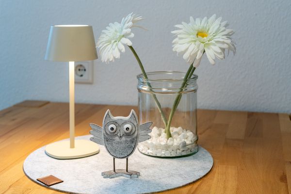 Foto 7 Ferienhaus Ostfriesland Dornum & Umgebung Inselrosen (Objekt 24657) suchen