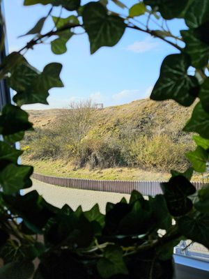 Foto 6 Ferienwohnung Ostfriesland Norderney Dünenkant (Objekt 91052) buchen