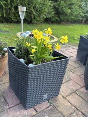 Foto 17 Ferienhaus Ostfriesland Norddeich & Umgebung Hüsken Malina (Objekt 25992) suchen