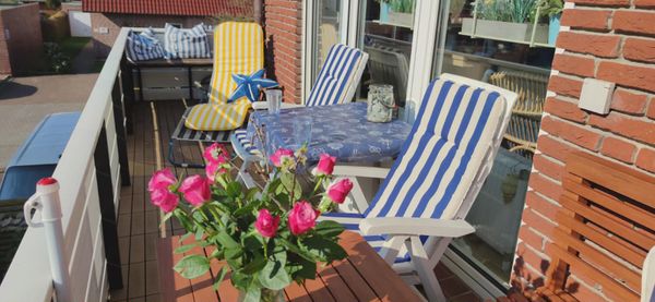 Foto 24 Ferienwohnung Ostfriesland Norddeich & Umgebung Ferienwohnung Lüttje Mööv Norddeich (Objekt 91804) Urlaub