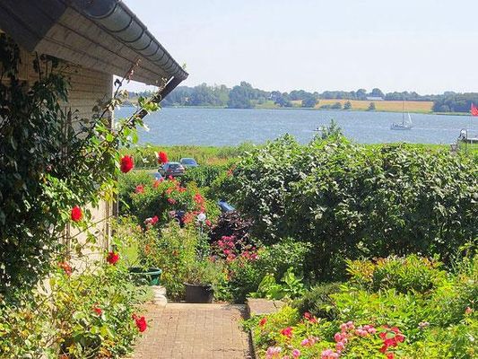  Marina Lindaunis - 
