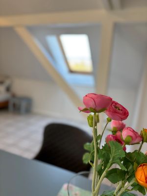 Foto 4 Ferienwohnung Ostfriesland Krummhörn & Umgebung Buschhaus Whg. 1 (Objekt 101336) Urlaub