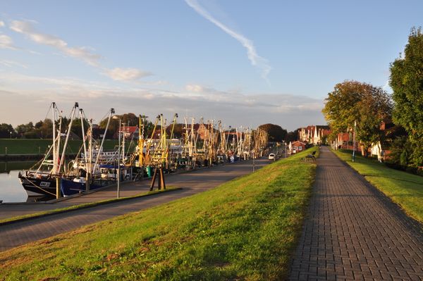 Foto 31 Ferienwohnung Ostfriesland Krummhörn & Umgebung GrachtenFlair (Objekt 24996) buchen
