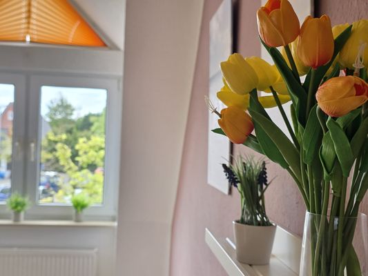 Foto 5 Ferienwohnung Ostfriesland Norddeich & Umgebung Ferienwohnung Sturmhaube (Objekt 101750) Reise