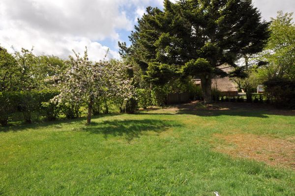 Foto 4 Ferienhaus Ostfriesland Nordfriesland Ferienhaus Haus Imme (Objekt 75805) Urlaub