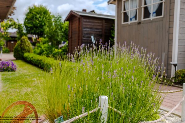Foto 4 Ferienwohnung Ostfriesland Friesland FeWo Lütte Krabbe - Hooksiel (Objekt 102580) Urlaub