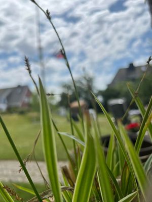 Foto 40 Ferienwohnung Ostfriesland Sylt Kapitän Ahab im Haus Käpt'n Andresen (Objekt 61984) Reise