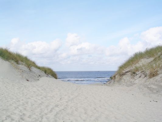 Foto 11 Ferienwohnung Ostfriesland Norderney Whg. Surferbucht (Objekt 108250) buchen