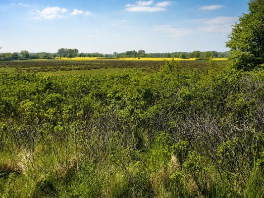 Landschaft