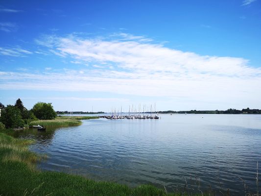  Marina Lindaunis - 