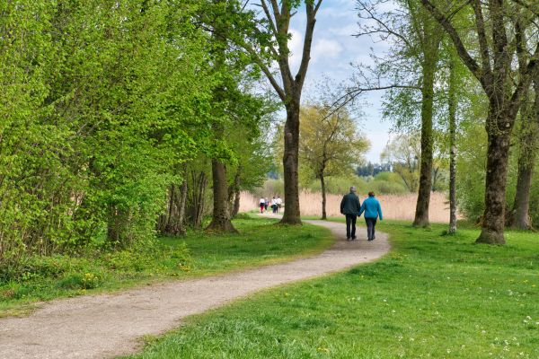 Landschaft, FeWo Judy, Bad Zwischenahn
