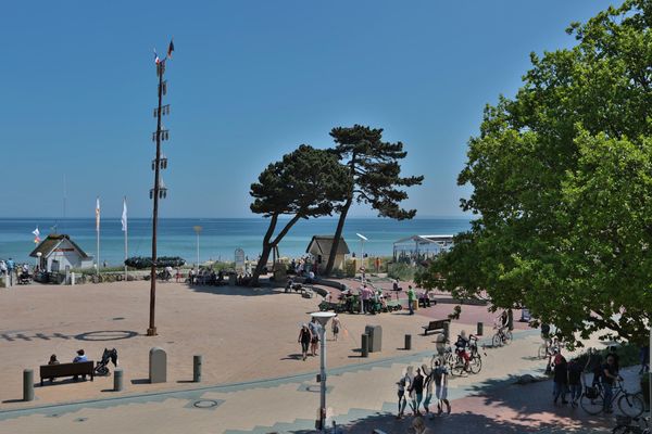 Stranddistel Appartement 2