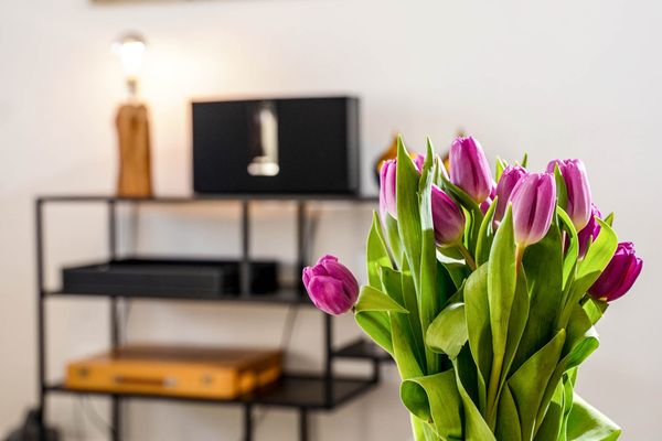 Foto 7 Ferienwohnung Ostfriesland Sylt Eidum Strand (Objekt 61920) suchen