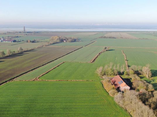 Foto 11 Ferienwohnung Ostfriesland Krummhörn & Umgebung Grashaus Upleward (Objekt 81787) buchen
