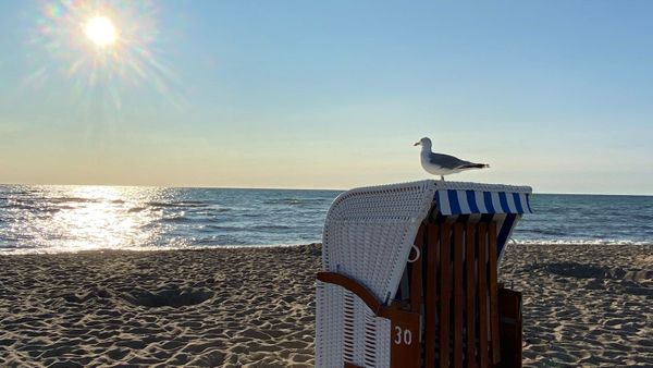  Meeresleuchten - 