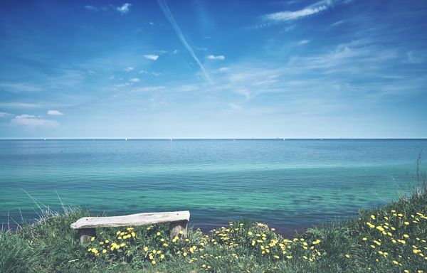  Strandmuschel - 