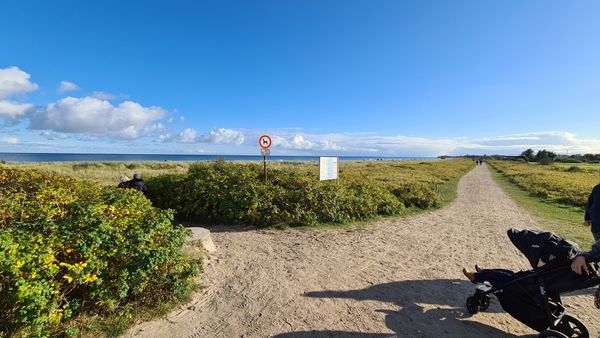  Sternenmeer - 