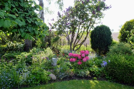 1608 Haus Mumm Dahme -