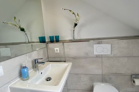 1031 Seemöwe Dahme -