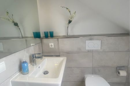 1031 Seemöwe Dahme -