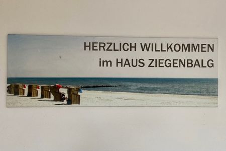 1031 Seemöwe Dahme -