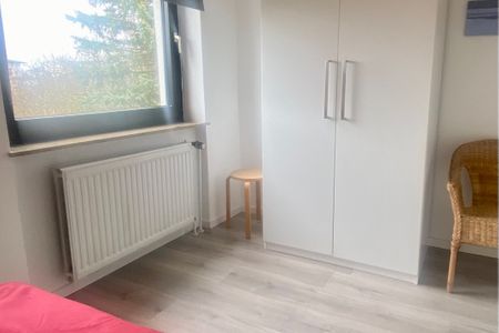 1032 Lachmöwe Dahme -