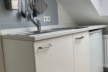 1032 Lachmöwe Dahme -