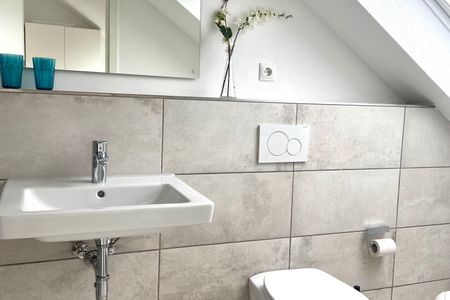 1032 Lachmöwe Dahme -