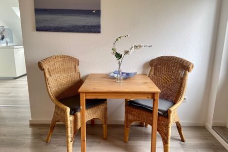 1032 Lachmöwe Dahme -