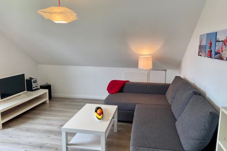 1032 Lachmöwe Dahme -