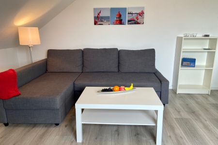 1031 Seemöwe Dahme -