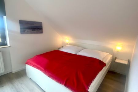 1031 Seemöwe Dahme -