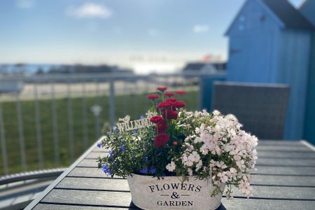  1013 - Sternenhimmel - Am Deich Dahme - 