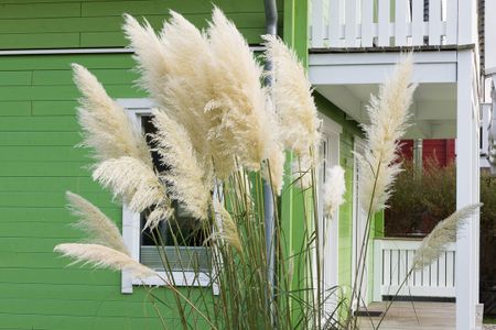 9200 Seerose 4 Süssau Süssau -