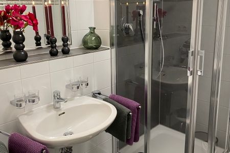 Inselstrand Inselstrand 2212 Usedom - Badezimmer mit Dusche, Waschbecken und Spiegel