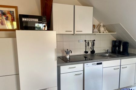  5092 - Blaubär Dahme - 