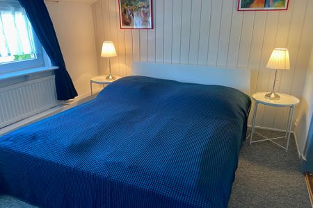  5092 - Blaubär Dahme - 