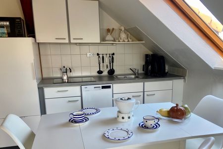  5092 - Blaubär Dahme - 