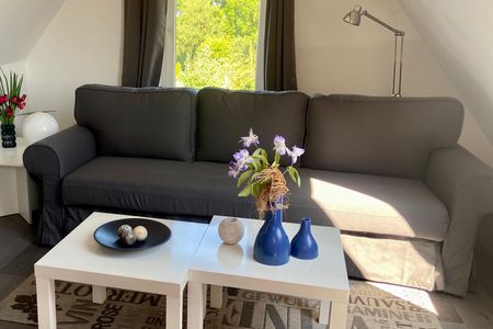  5092 - Blaubär Dahme - 