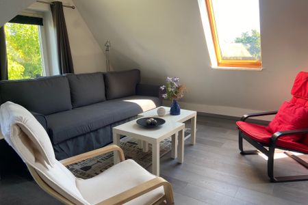  5092 - Blaubär Dahme - 