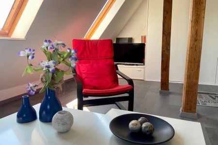  5092 - Blaubär Dahme - 