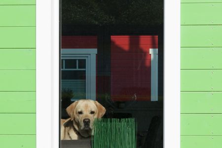 9200 Seerose 4 Süssau Süssau -