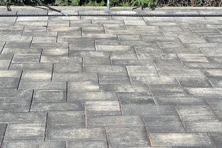 2913 - Seelax Dahme -