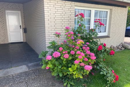 5060 Saarstr. 8a Dahme -